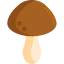 Mushroom icon 64x64
