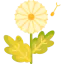 Dandelion icon 64x64