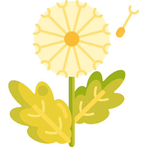Dandelion icon