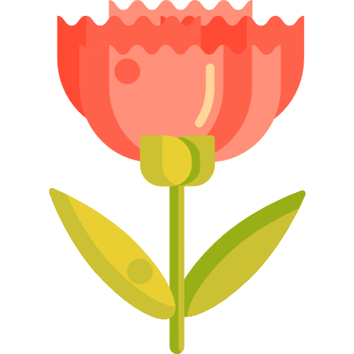 Carnation icon