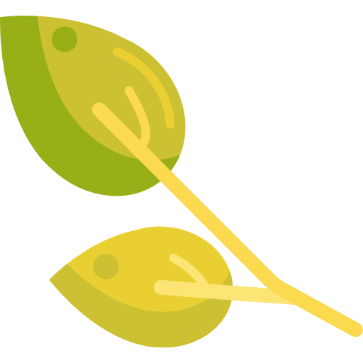 Leaves icon