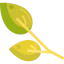 Leaves icon 64x64