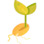 Seed ícono 64x64