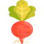 Radish icon 64x64