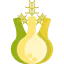 Fennel icon 64x64