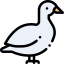 Duck Ikona 64x64