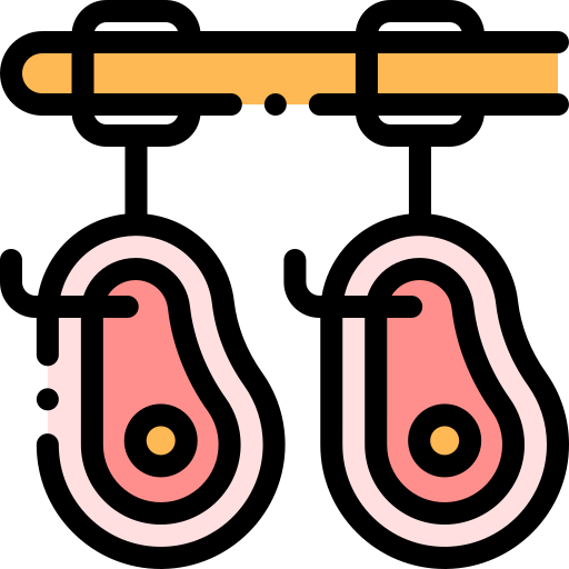 Steak icon