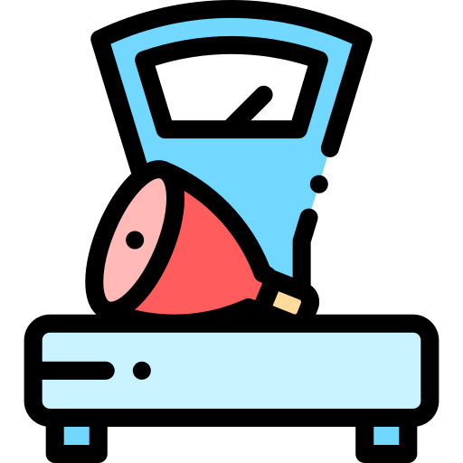 Scale icon