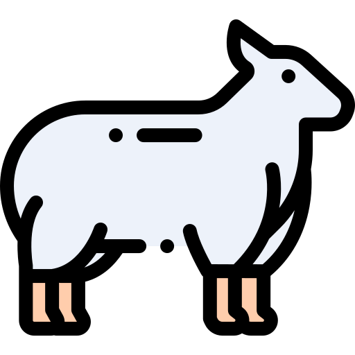 Lamb icon