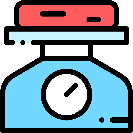 Scale icon