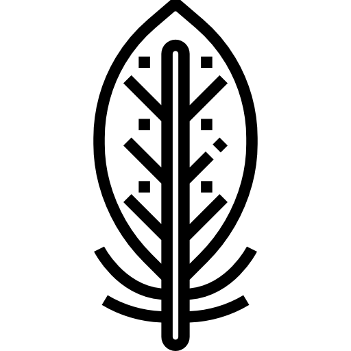 Card icon