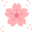 Sakura アイコン 64x64