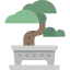 Bonsai іконка 64x64
