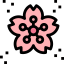 Sakura アイコン 64x64