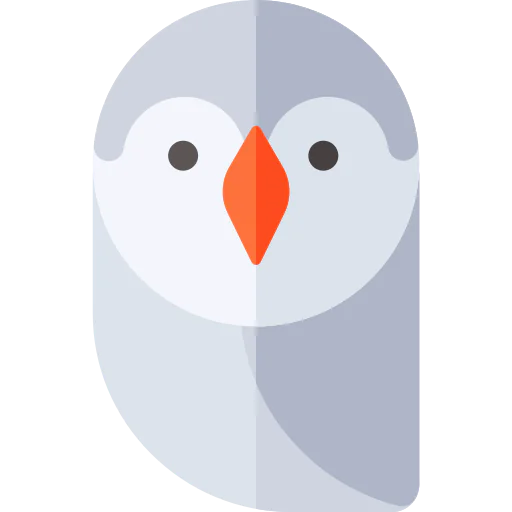 Owl icon