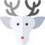 Arctic icon 64x64