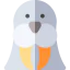 Walrus icon 64x64