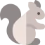 Squirrel icon 64x64