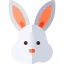 Bunny icon 64x64
