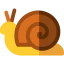 Snail icon 64x64