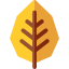 Alder icon 64x64