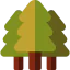 Pine tree icon 64x64