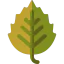 Birch icon 64x64