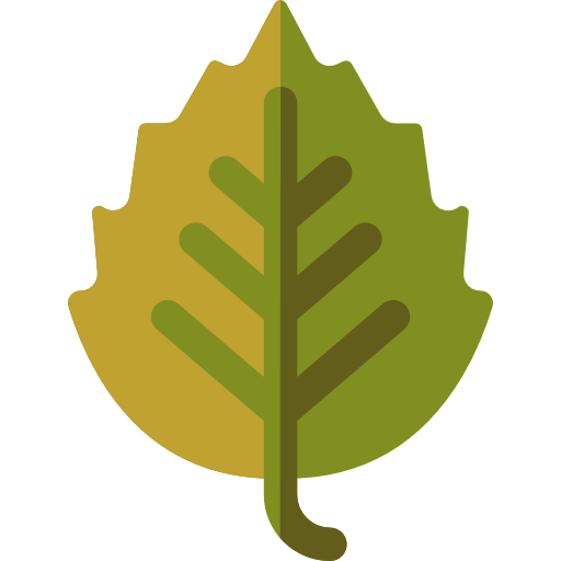 Birch icon