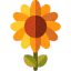 Sunflower icon 64x64