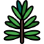 Rosemary icon 64x64