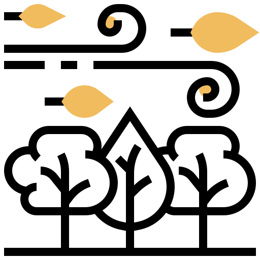 Wind icon
