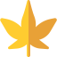 Maple icon 64x64