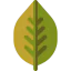 Momiji icon 64x64