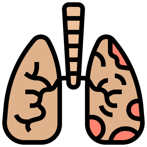 Lungs icon