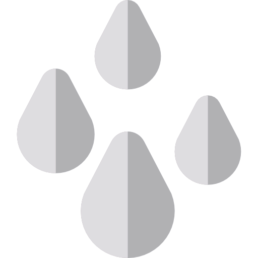Rain icon
