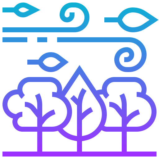 Wind icon