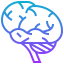 Brains icon 64x64