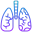 Lungs ícono 64x64