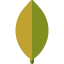 Ficus icon 64x64