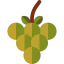 Grapes icon 64x64