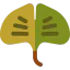 Ginko icon 64x64