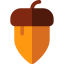 Acorn icon 64x64