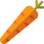 Carrot icon 64x64