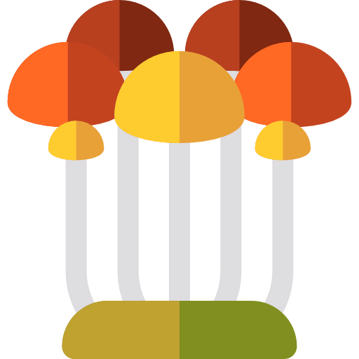 Enoki icon