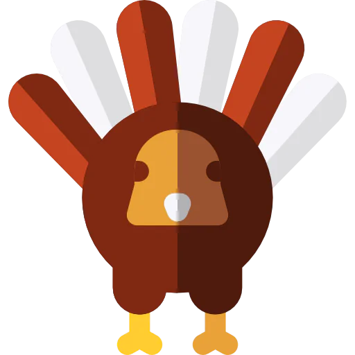 Turkey icon