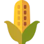 Corn icon 64x64