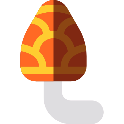 Morel icon