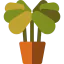 Jade icon 64x64