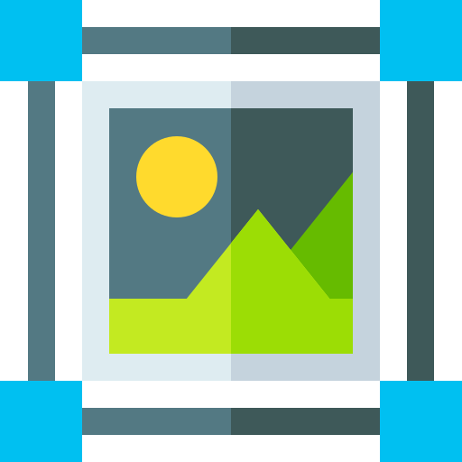 Image icon