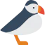 Puffin icon 64x64